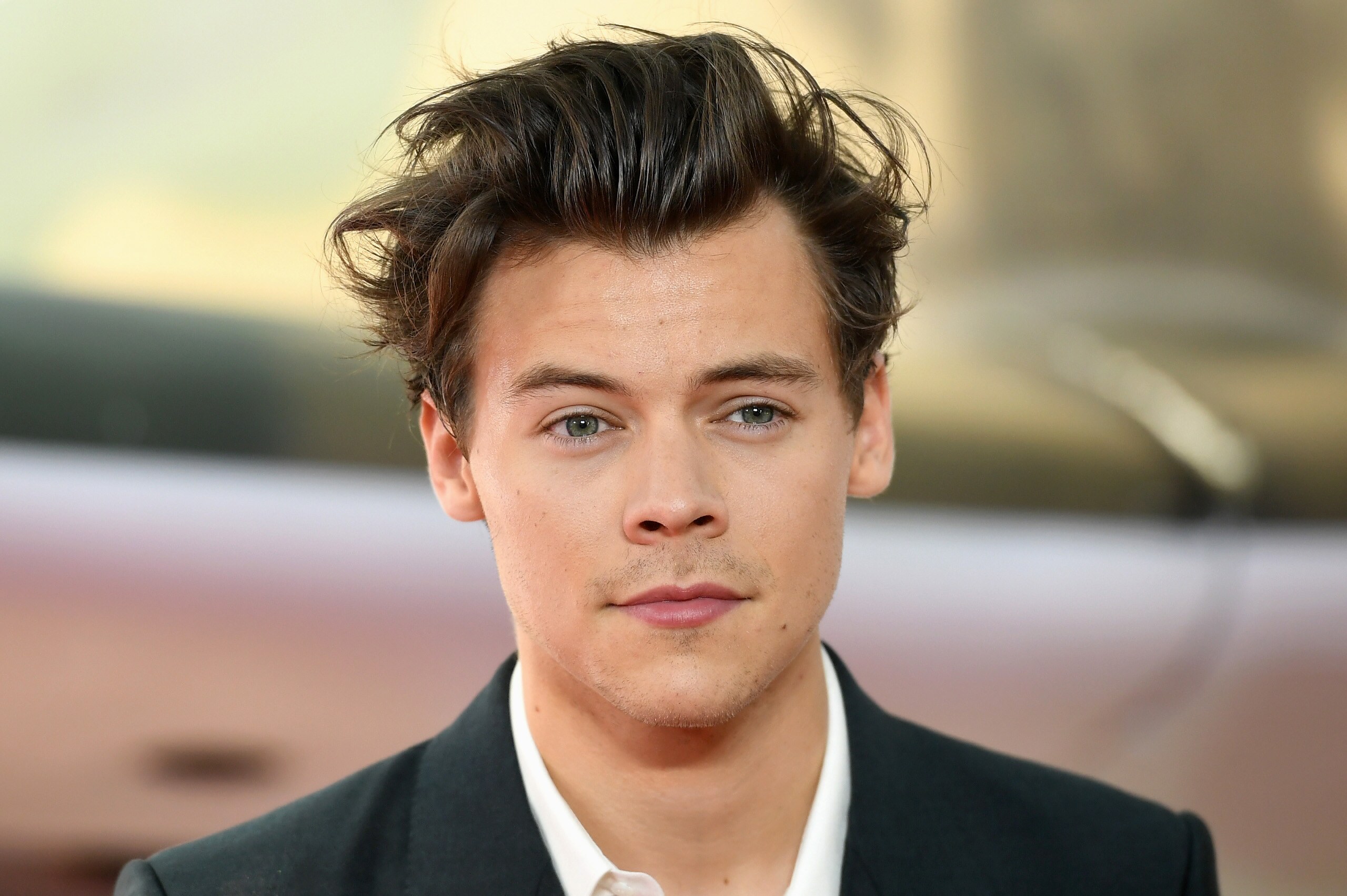 Harry. Гарри Стайлс. Harry Styles Гарри Стайлс. Гарри Стайлс 2018. Гарри Стайлс молодой.