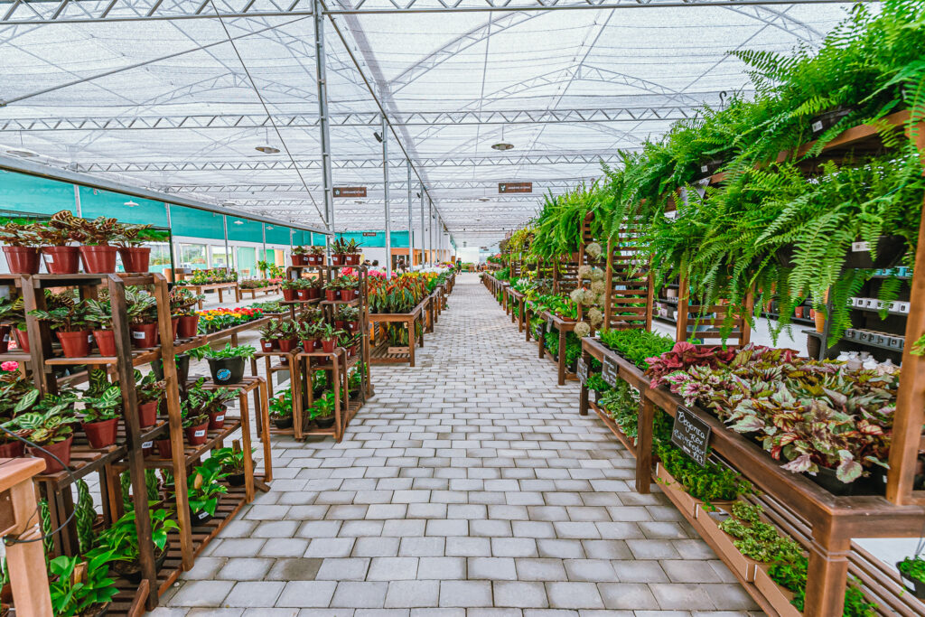 Curitiba terá a maior floricultura do Brasil com espaço para mil plantas Curitiba Cult