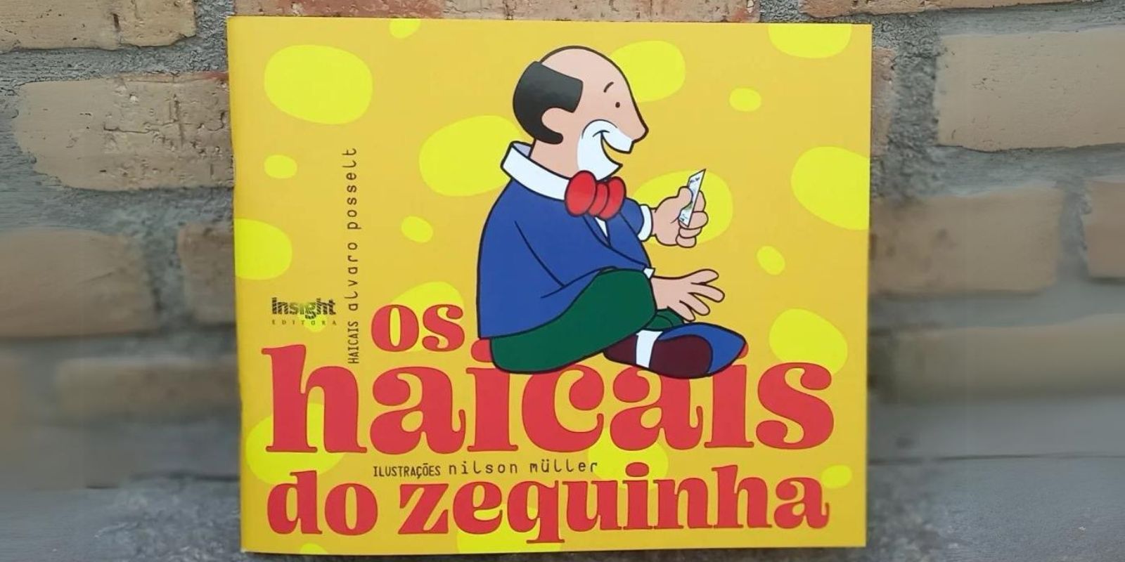 Livro Os Haicais do Zequinha. Foto: Reprodução Instagram Álvaro Posselt.