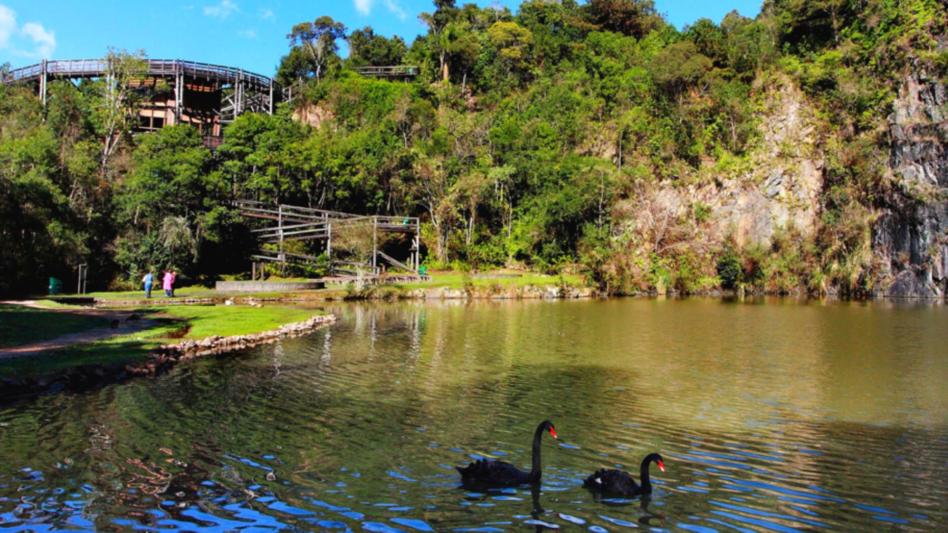 Lugares Para Fazer Piquenique Em Curitiba Curitiba Cult Agenda Cultural De Curitiba