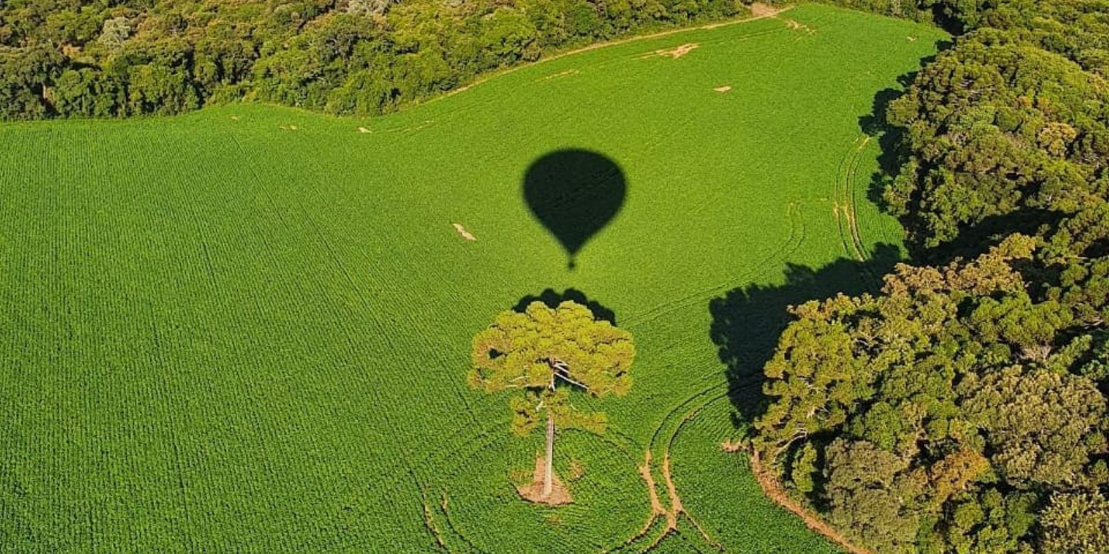 Passeio de Balão em Campo Largo. Foto: @darlan_nitz.