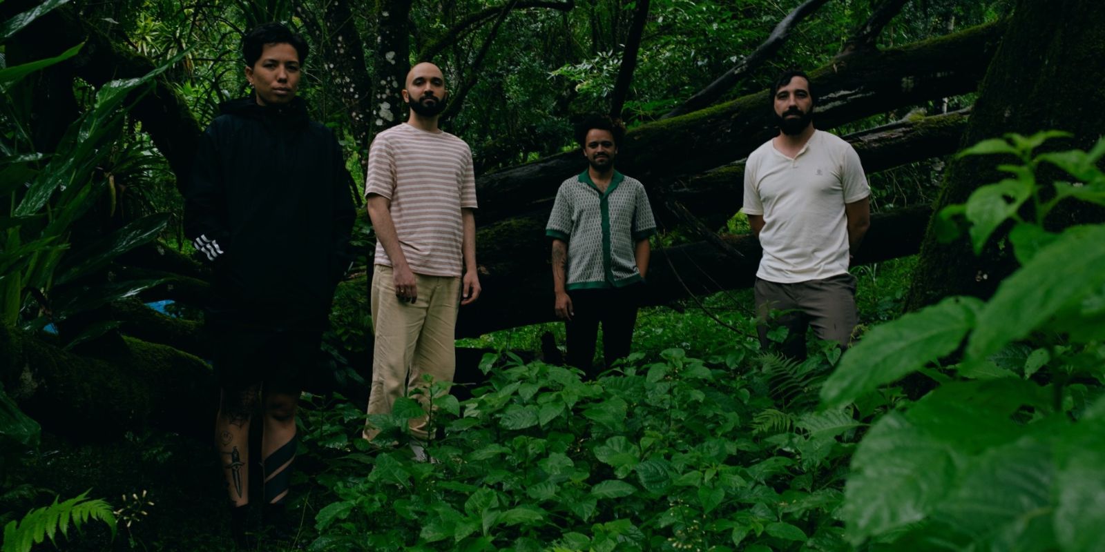 Banda Molar. Foto: Walter Thoms.