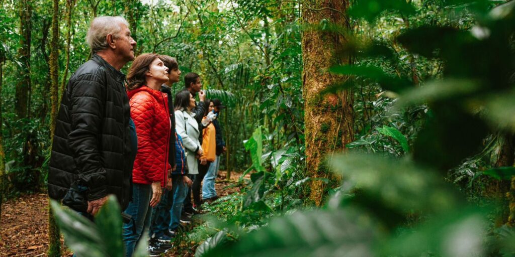 Conexão Mãe Natureza do Ekôa Park. Foto: Albori Ribeiro.