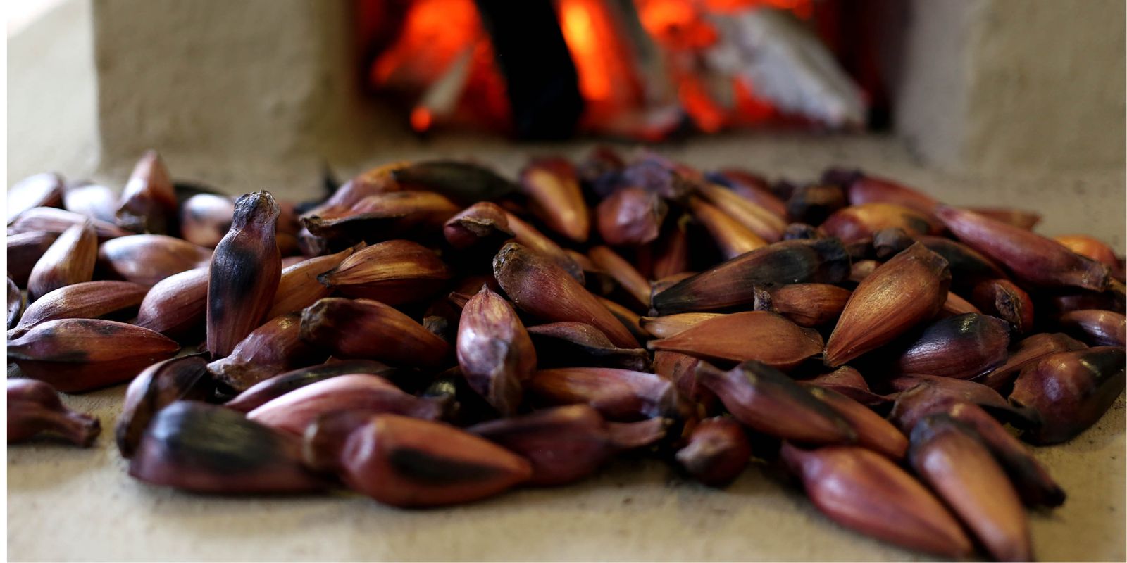 Pinhão na chapa. Foto: Gilson Abreu/AEN.