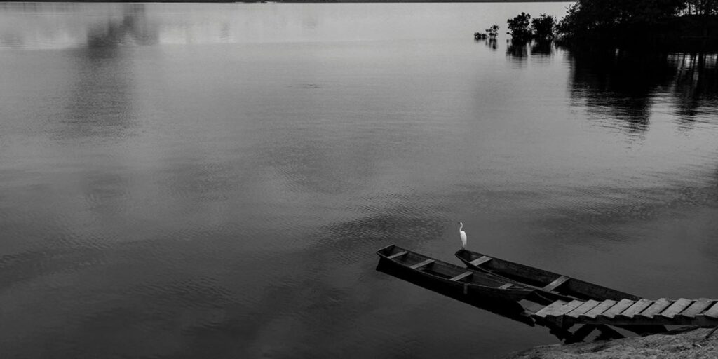 Exposição Amazônia no BRDE Palacete dos Leões. Foto: Vilma Slomp.
