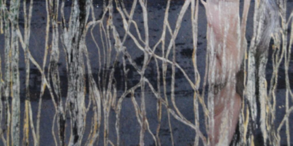 Exposição Margens de Si no MUMA. Foto: Divulgação.