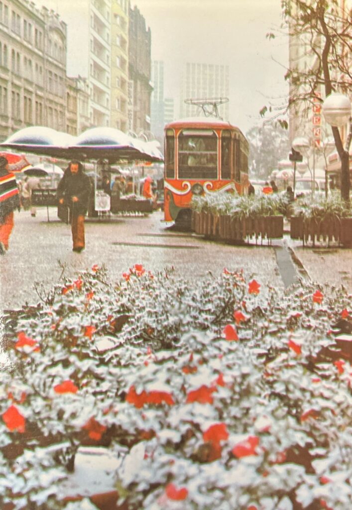 Postal da Rua XV de Novembro mostrando Neve em Curitiba em 1975. Foto: Acervo da Biblioteca Pública do Paraná.