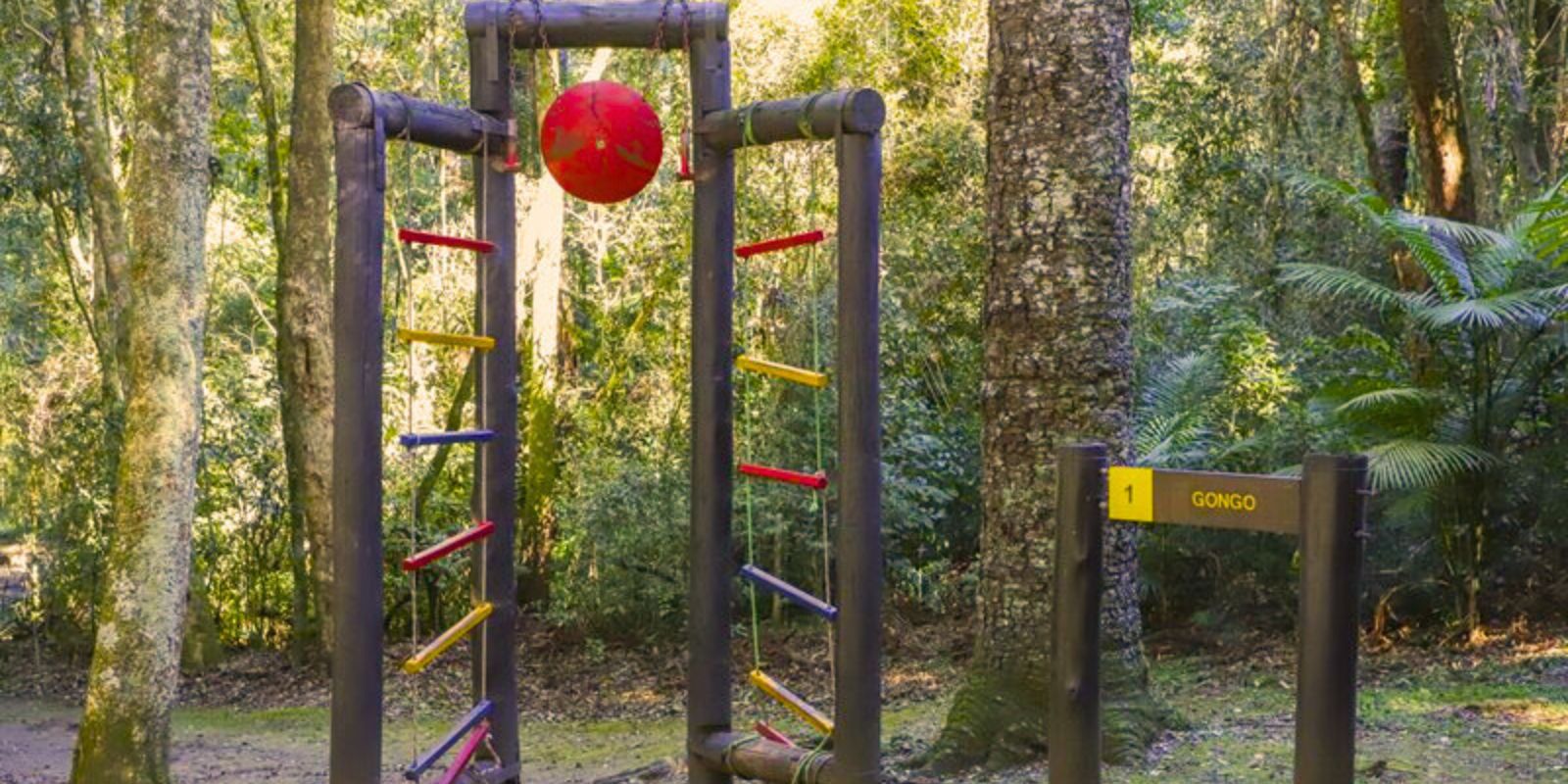 Bosque Reinhard Maack. Foto: Hully Paiva/SECOM.