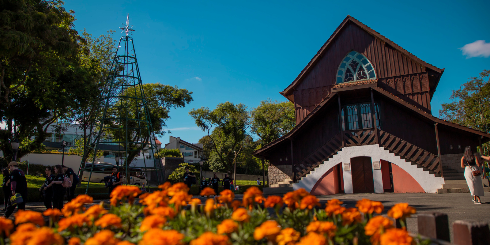 Montagem das árvores do Natal de Curitiba 2025. Foto: Isabella Mayer/SECOM
