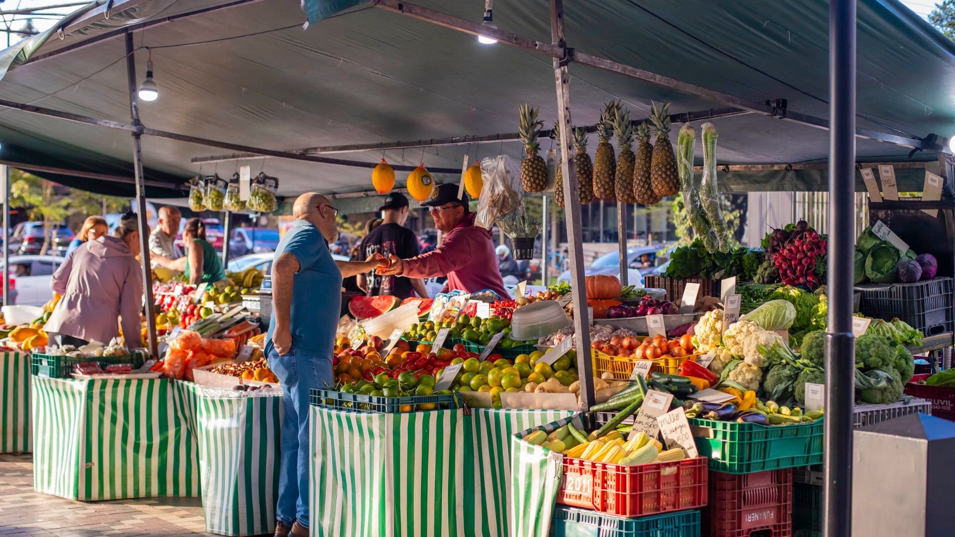 Feiras Livres em Curitiba. Foto: Isabella Mayer/SECOM
