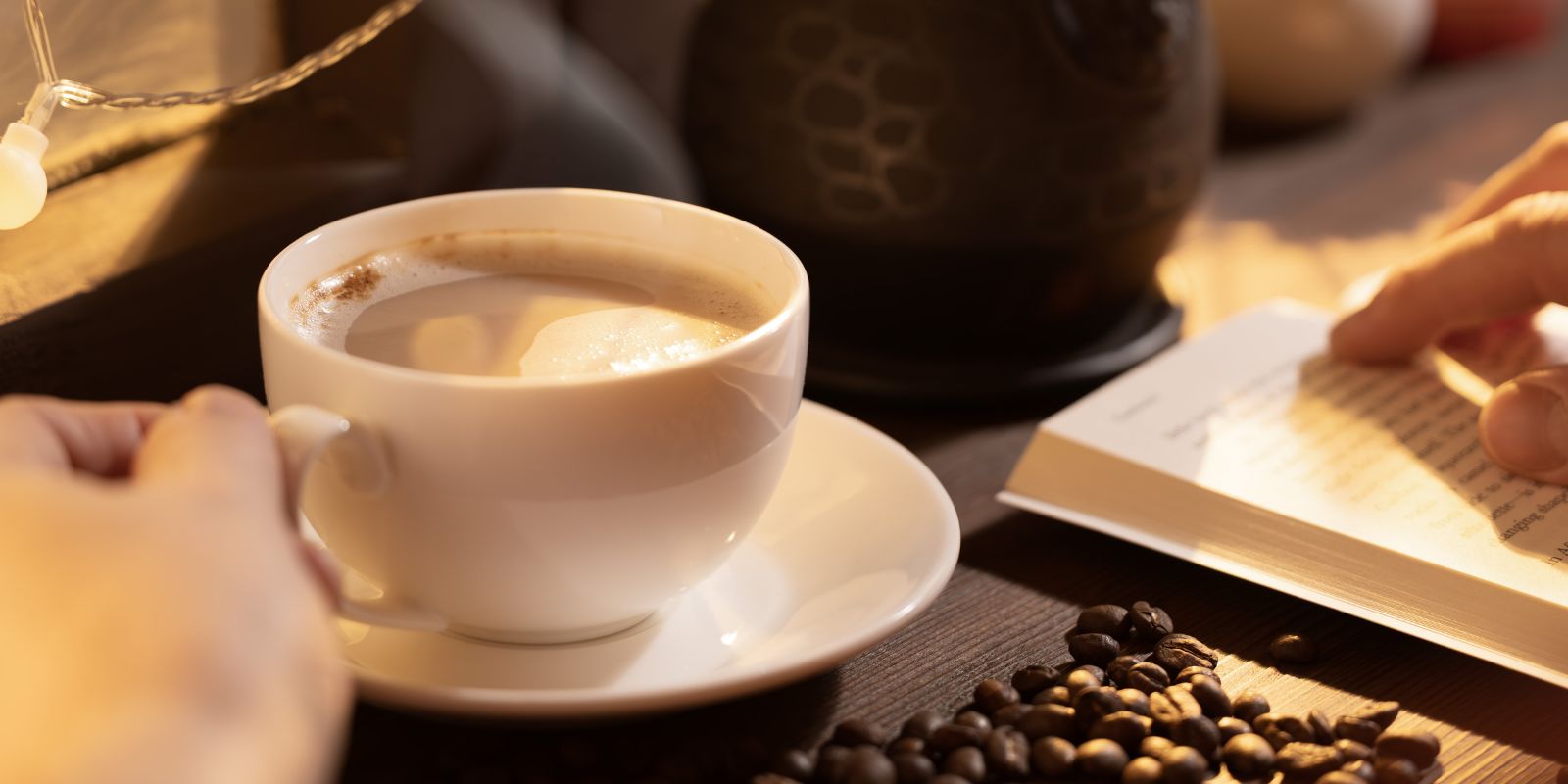 Cafés com livrarias em Curitiba. Foto: reprodução Canva.