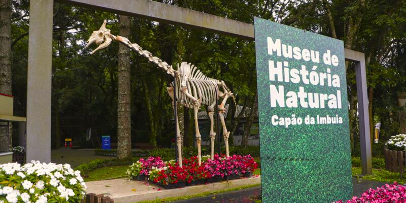 Esqueleto de Girafa em Curitiba. Foto: Hully Paiva/SECOM.