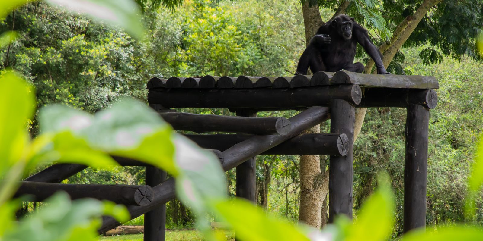 Foto: Isabella Mayer/SECOM