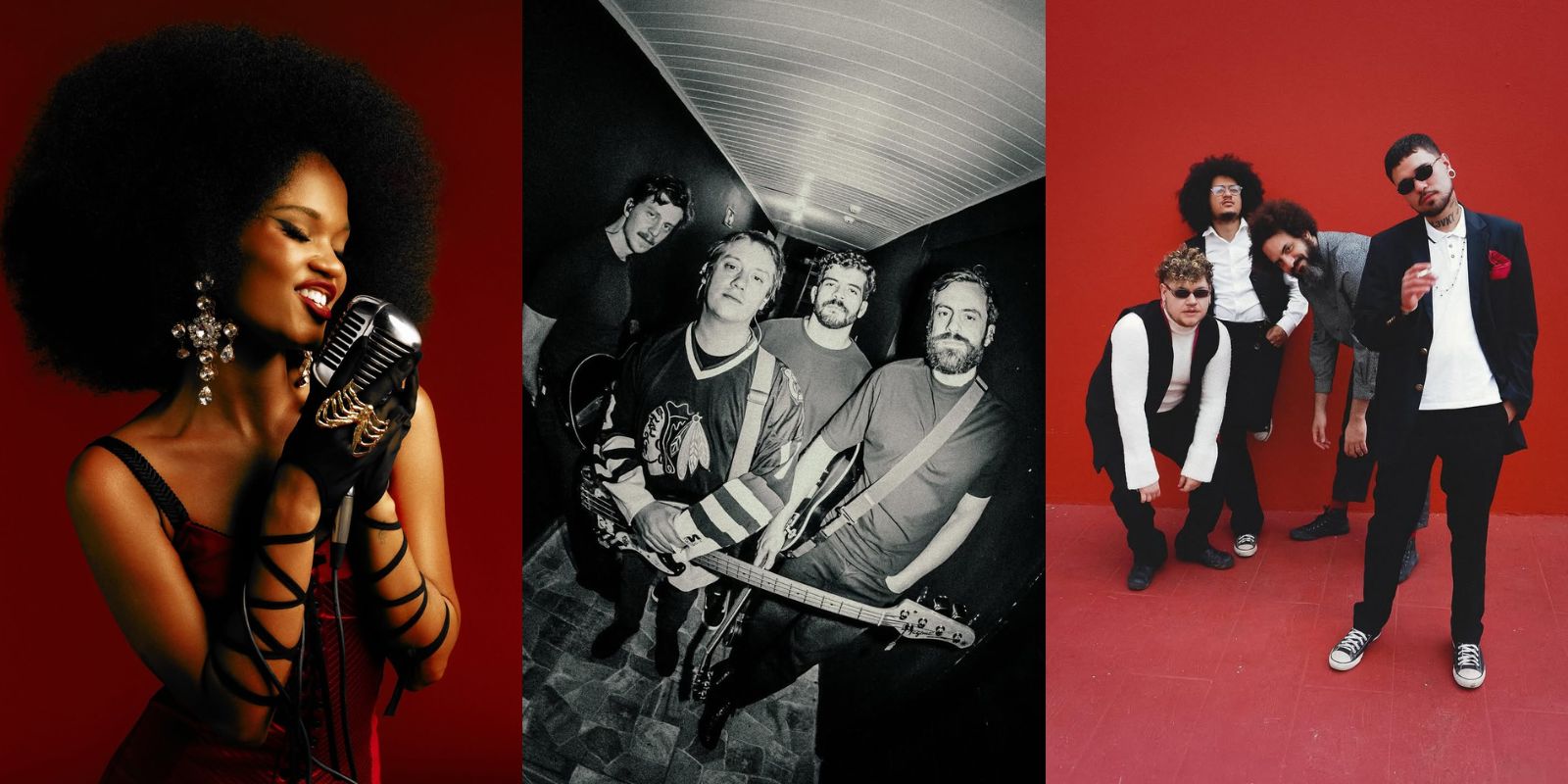 foto: @renamcristofoletti / @ravisfer / @juliabezerracruz @caiobcampos