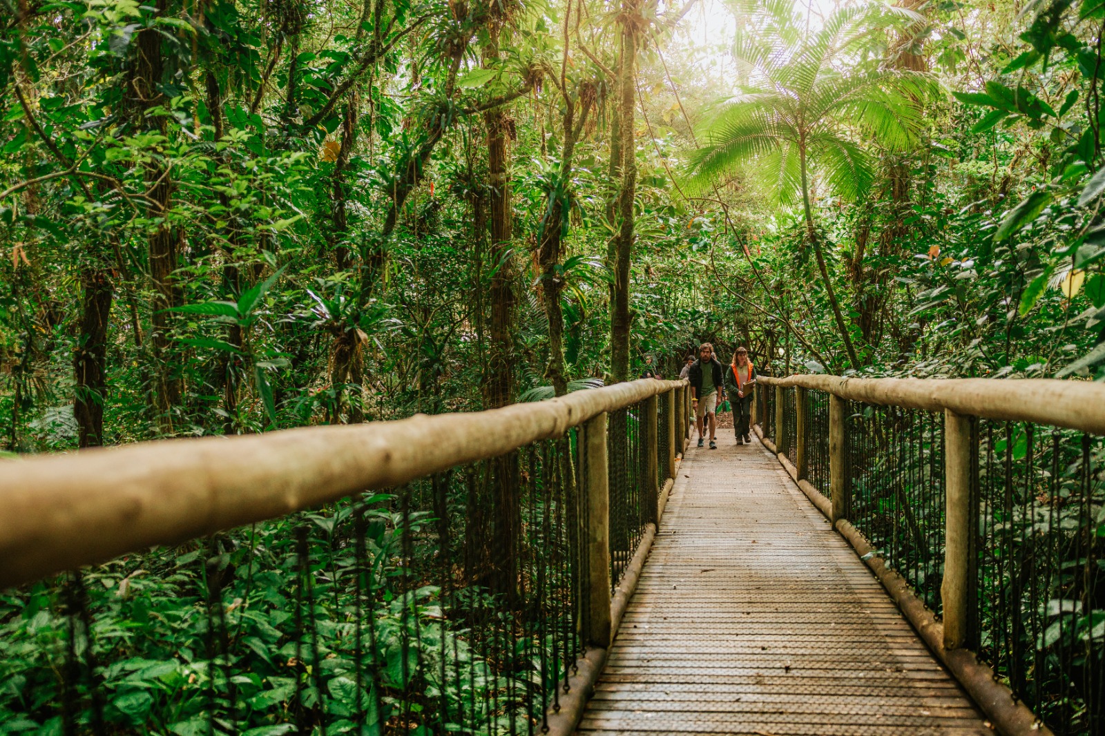 Ecoturismo no litoral paranaense. Foto: Albori Ribeiro