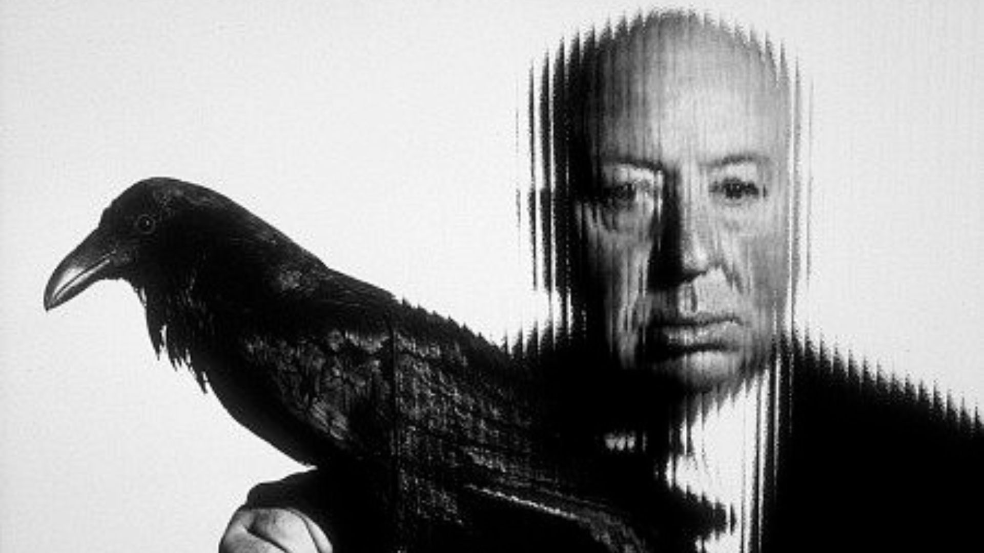 Mostra Alfred Hitchcock na Cinemateca de Curitiba. Foto: Divulgação