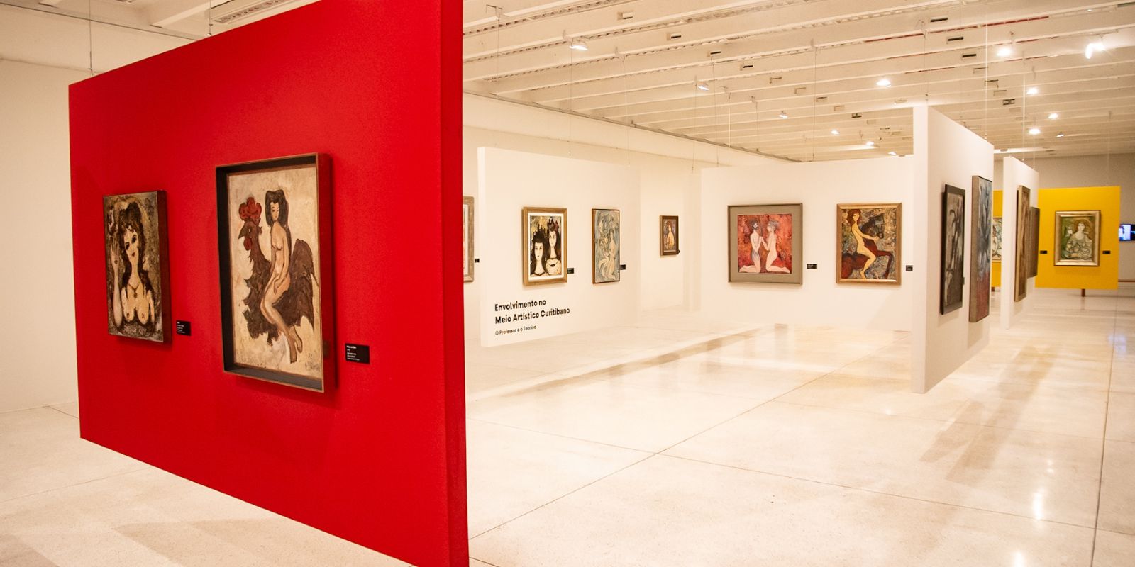 Alberto Massuda no MON. Foto: Kraw Penas/SEEC.