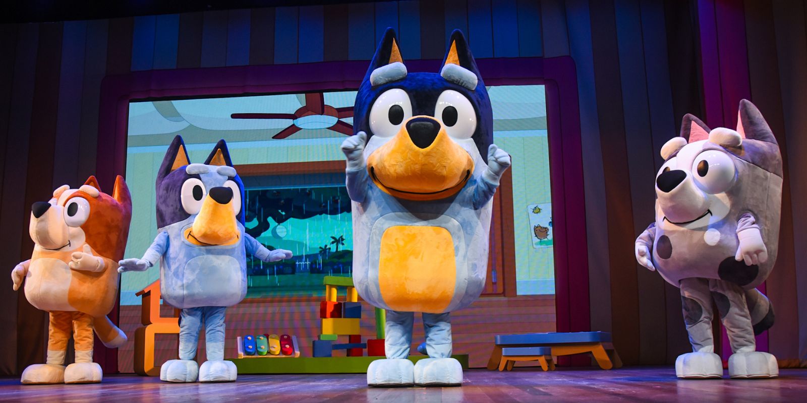 Bluey em Curitiba. Foto: Andy Sant'Anna/divulgação.