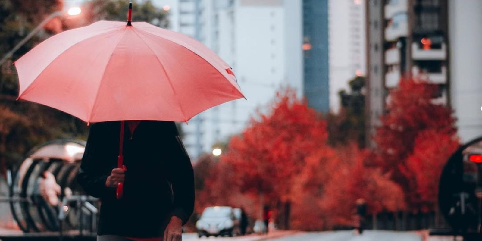 Frio em Curitiba. Foto: @thglphoto