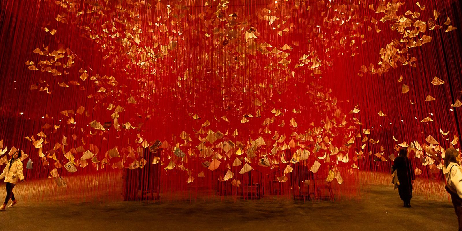 Bienal de Curitiba. Foto: divulgação