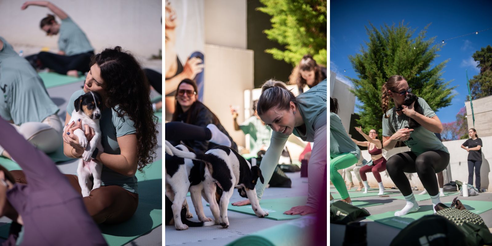 Cultiva Puppy Yoga. Foto: Curitiba Cult.