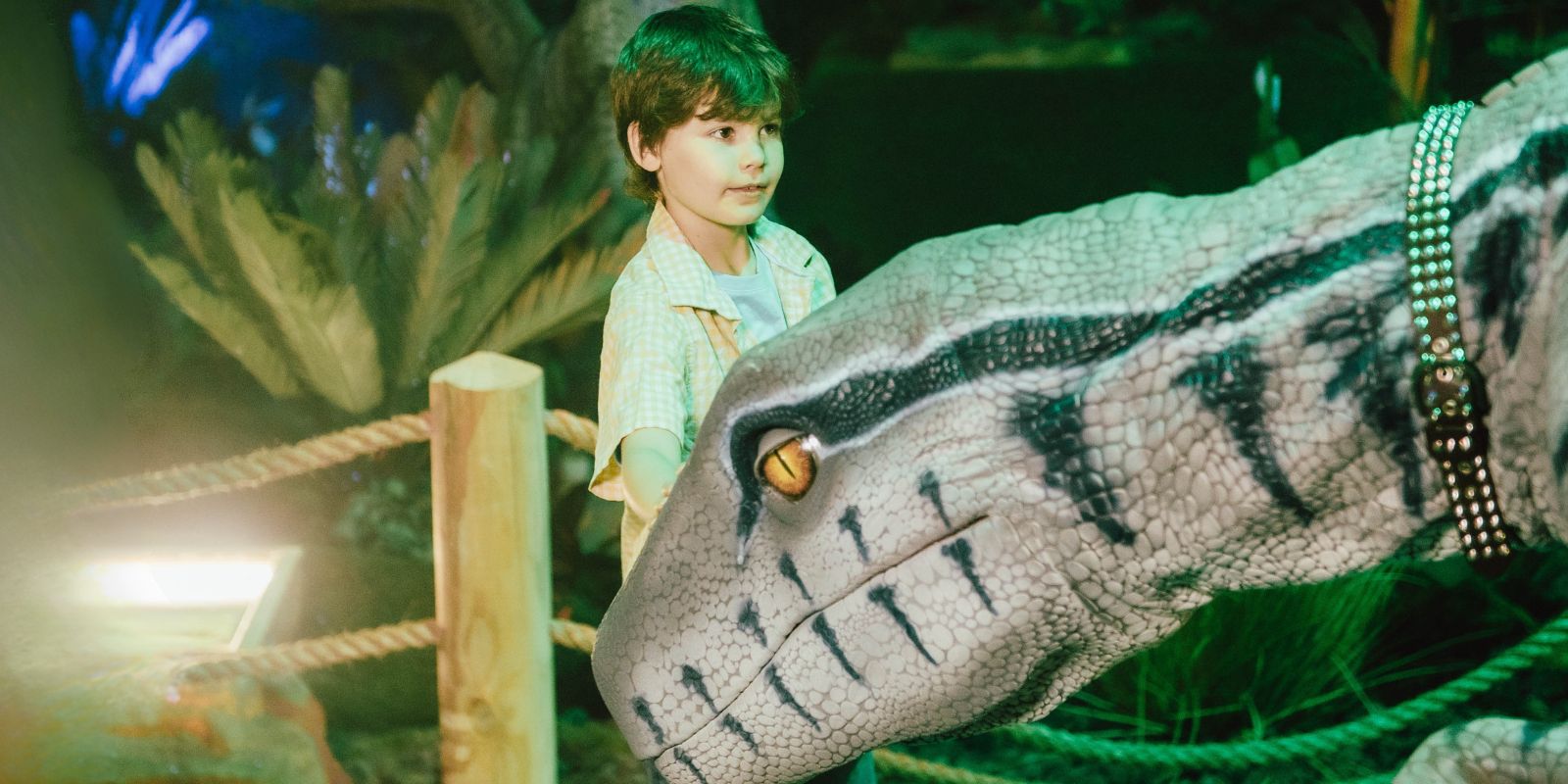 Dinos Alive em Curitiba. Foto: divulgação