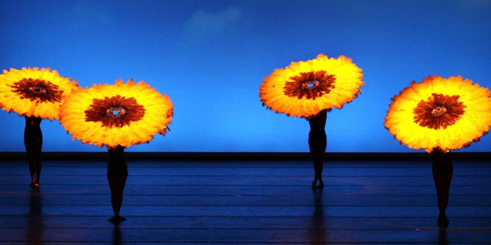 MOMIX. Foto: divulgação.