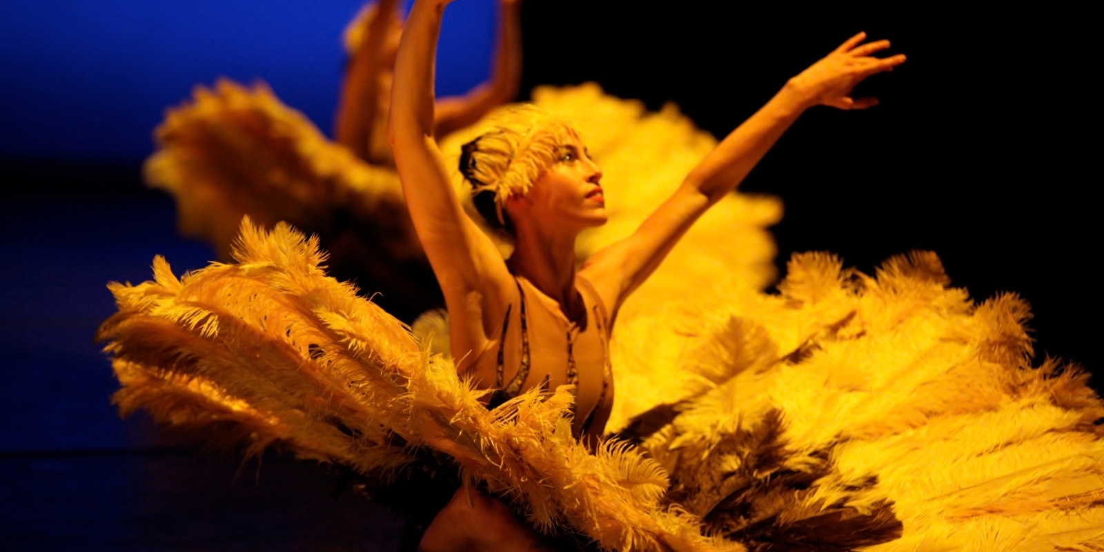 MOMIX. Foto: divulgação.