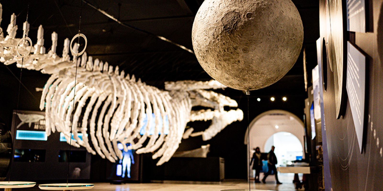 Visitar o Museu Planeta Água