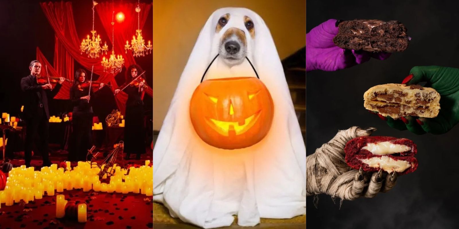 5 programas diferentes para curtir o Halloween em Curitiba