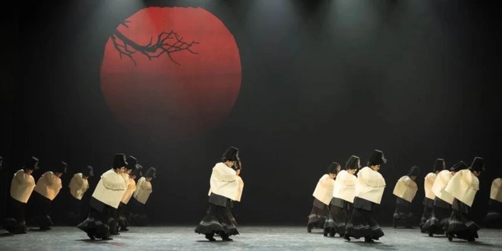 Azaleia Oriental em Curitiba